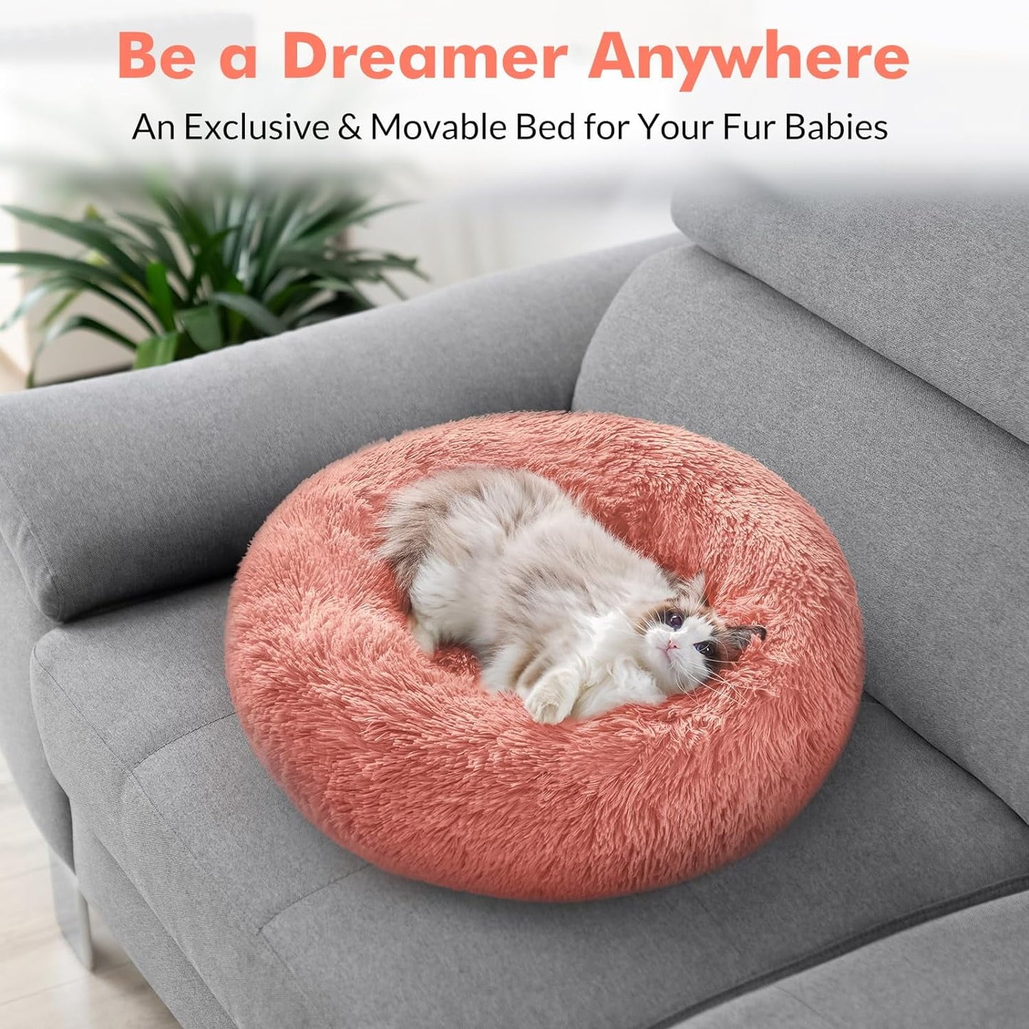 Cat Bed for Indoor Cats, Fluffy round Self Warming Calming Soft Plush Donut Cuddler Cushion Pet Bed for Small Dogs Kittens, 24 Inches