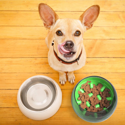 Slow Feeder Bowl for Small Medium Dogs Cats, No-Spill Large Capacity Interactive Feeder, Green (APF03G)